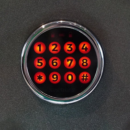 Sanctuary Platinum 1.07 cu. ft. Fireproof/Waterproof Home & Office Safe with Electronic Lock, Dark Gray Metallic, SA-PLAT1-DP