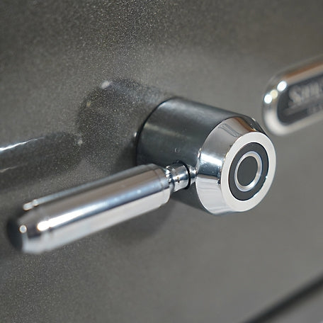 Sanctuary Platinum 1.07 cu. ft. Fireproof/Waterproof Home & Office Safe with Biometric Lock, Dark Gray Metallic, SA-PLAT1BIO-DP