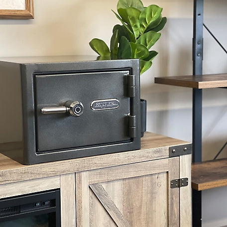 Sanctuary Platinum 1.07 cu. ft. Fireproof/Waterproof Home & Office Safe with Biometric Lock, Dark Gray Metallic, SA-PLAT1BIO-DP