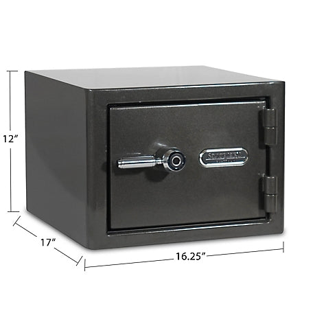 Sanctuary Platinum 1.07 cu. ft. Fireproof/Waterproof Home & Office Safe with Biometric Lock, Dark Gray Metallic, SA-PLAT1BIO-DP
