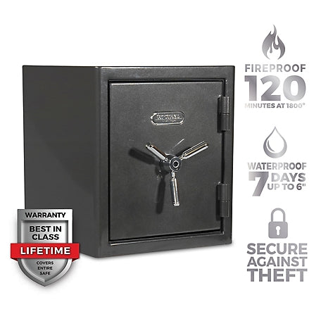 Sanctuary Platinum 1.96 cu. ft. Fireproof/Waterproof Home & Office Safe with Biometric Lock, Dark Gray Metallic, SA-PLAT2BIO-DP