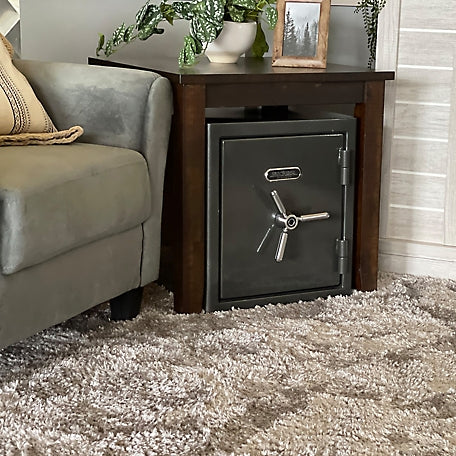 Sanctuary Platinum 1.96 cu. ft. Fireproof/Waterproof Home & Office Safe with Biometric Lock, Dark Gray Metallic, SA-PLAT2BIO-DP