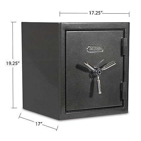 Sanctuary Platinum 1.96 cu. ft. Fireproof/Waterproof Home & Office Safe with Biometric Lock, Dark Gray Metallic, SA-PLAT2BIO-DP