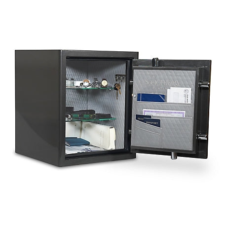 Sanctuary Platinum 3.32 cu. ft. Fireproof/Waterproof Home & Office Safe with Biometric Lock, Dark Gray Metallic, SA-PLAT3BIO-DP