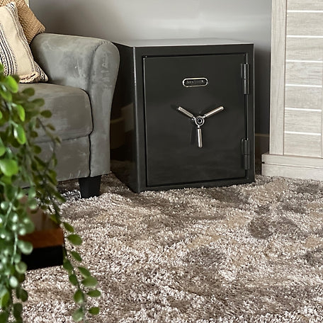 Sanctuary Platinum 3.32 cu. ft. Fireproof/Waterproof Home & Office Safe with Biometric Lock, Dark Gray Metallic, SA-PLAT3BIO-DP