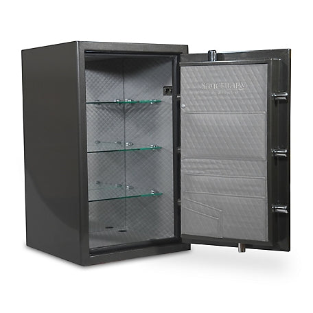 Sanctuary Platinum 4.98 cu. ft. Fireproof/Waterproof Home & Office Safe with Biometric Lock, Dark Gray Metallic, SA-PLAT4BIO-DP