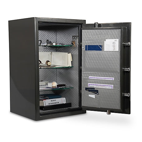 Sanctuary Platinum 4.98 cu. ft. Fireproof/Waterproof Home & Office Safe with Biometric Lock, Dark Gray Metallic, SA-PLAT4BIO-DP