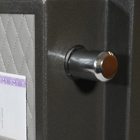 Sanctuary Platinum 4.98 cu. ft. Fireproof/Waterproof Home & Office Safe with Biometric Lock, Dark Gray Metallic, SA-PLAT4BIO-DP