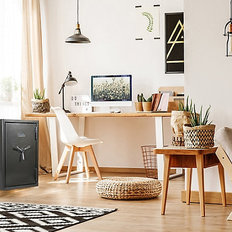 Sanctuary Platinum 4.98 cu. ft. Fireproof/Waterproof Home & Office Safe with Biometric Lock, Dark Gray Metallic, SA-PLAT4BIO-DP