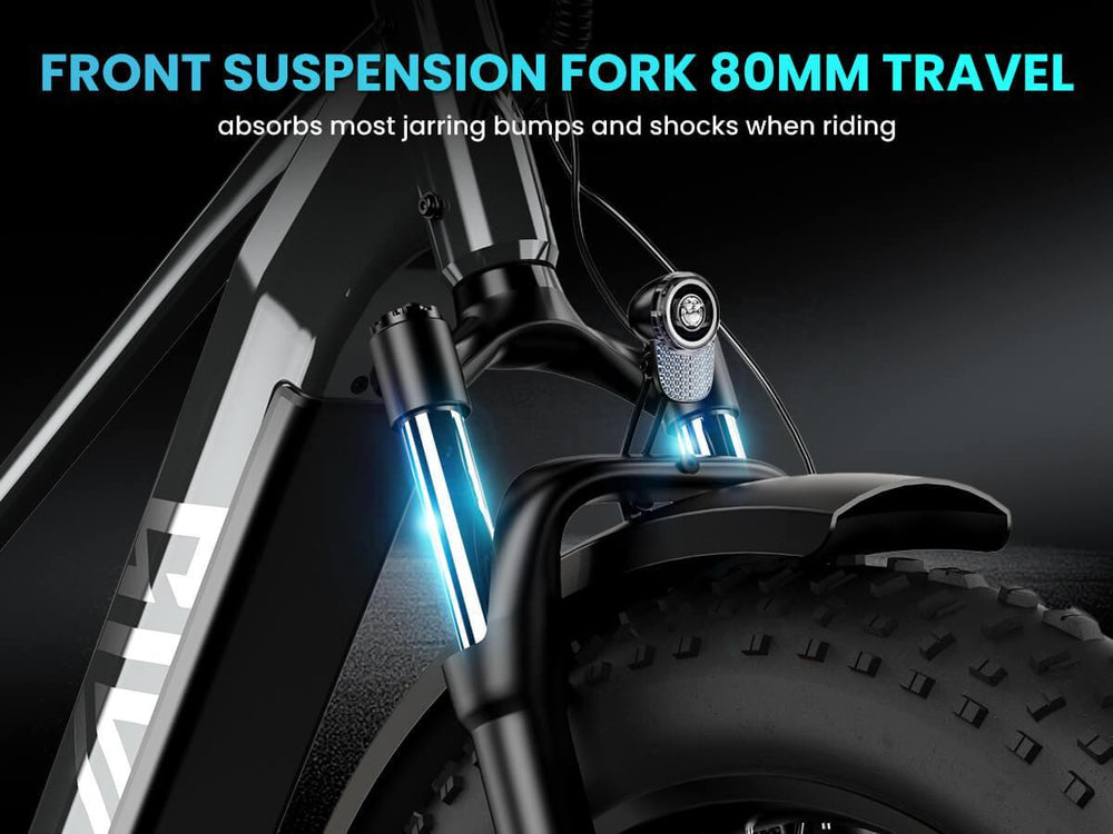 TST Combo Sale Defender 26" Fat Tire Ebike For Adult