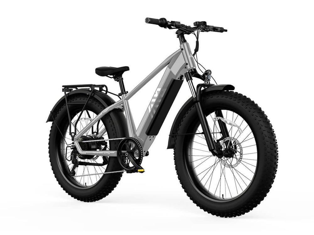 TST Defender 26" Fat Tire Ebike For Adult
