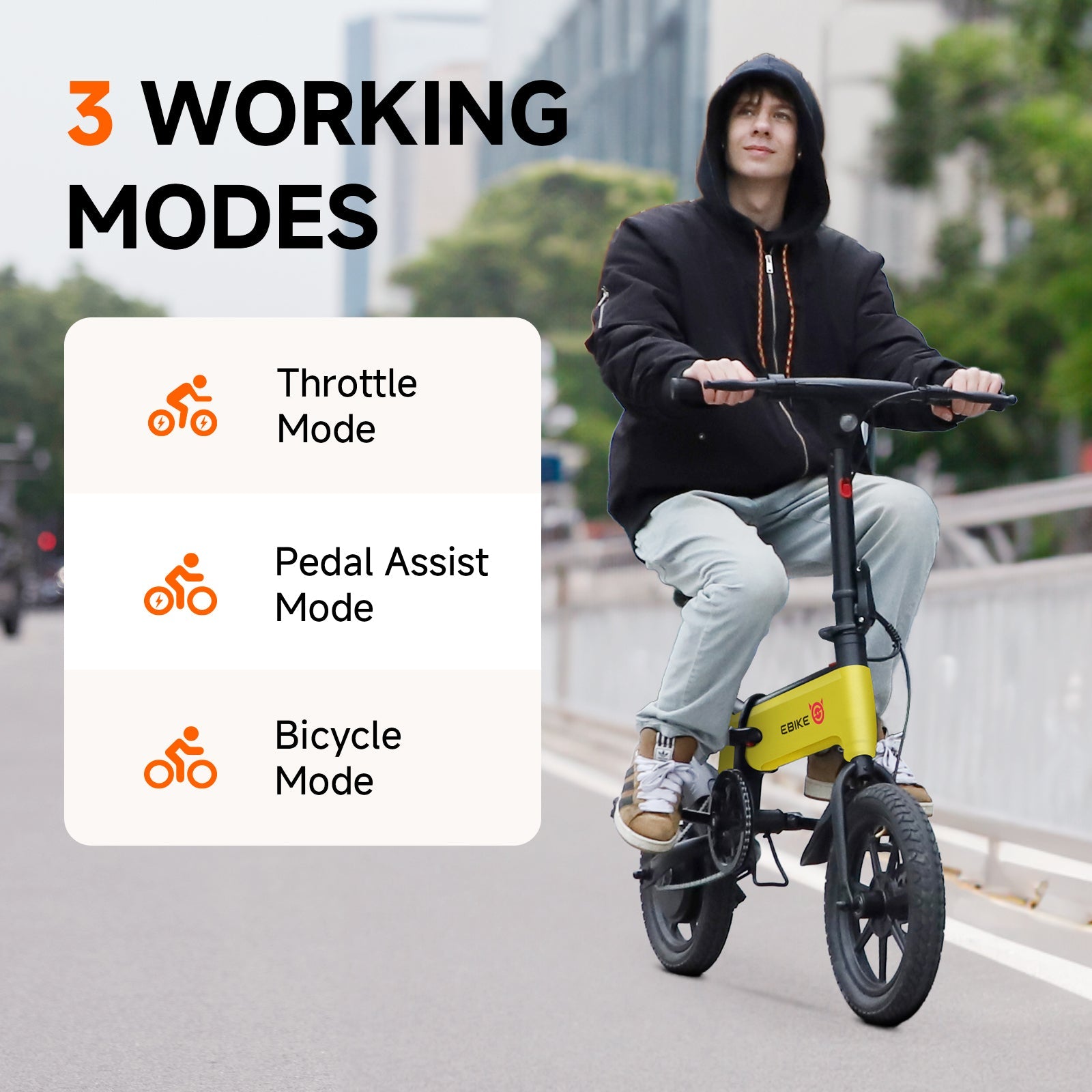 Sisigad 14" Lynx Plus Folding Electric Bike for Kids