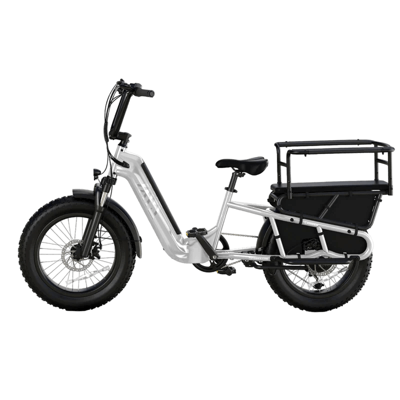 TST Carrier 20'' Cargo Electric Bike