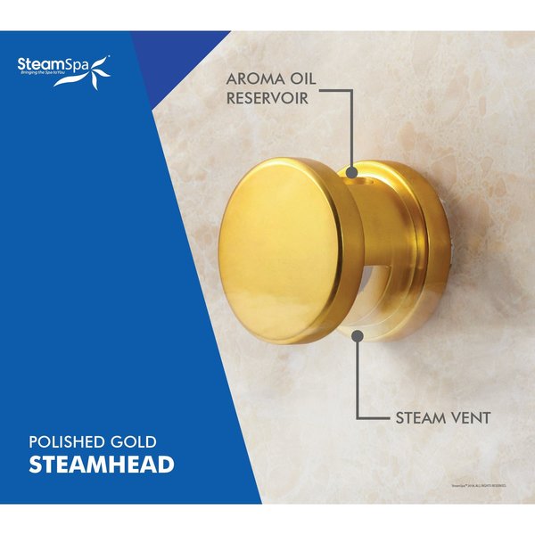 SteamSpa Royal Control Kit in Polished Gold RYPKGO
