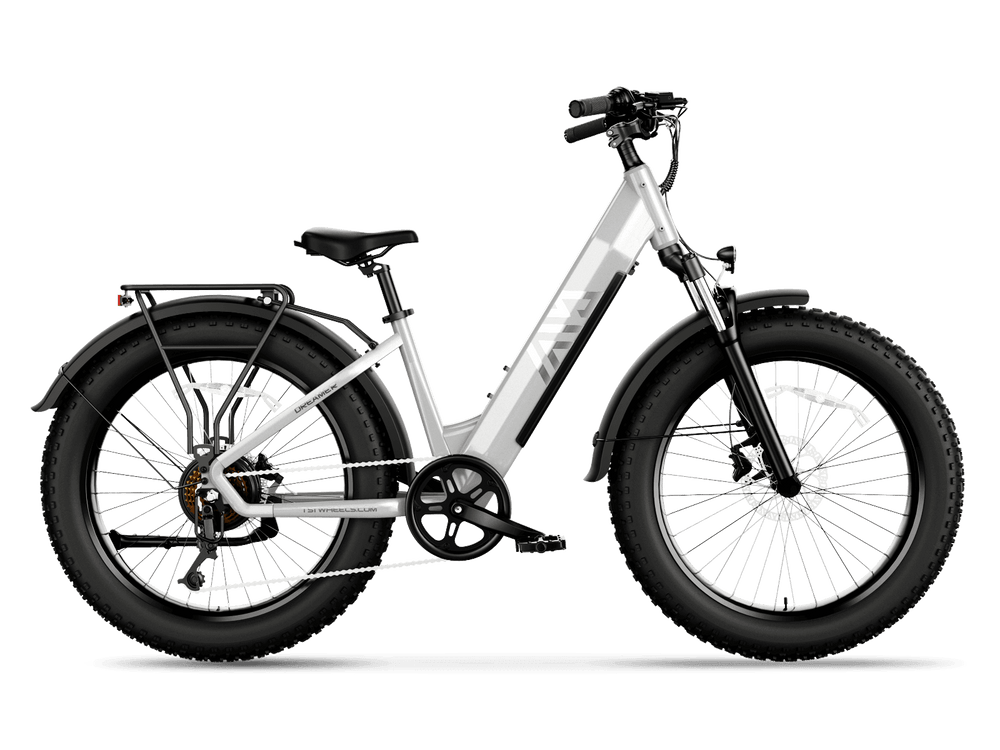 TST Dreamer 26" Step-Thru Fat Tire Electric Bike