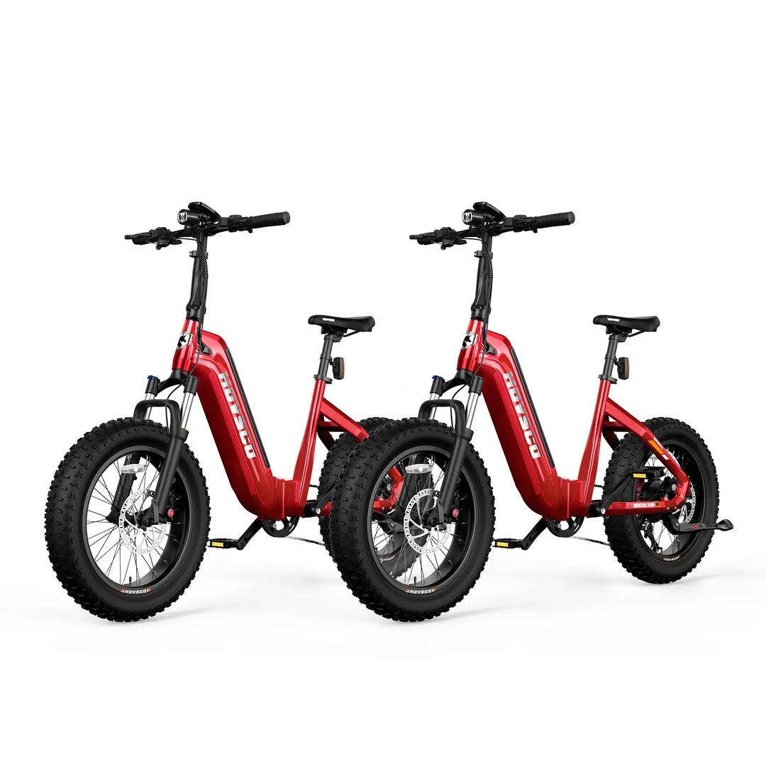 HOVSCO HovBeta 20" Foldable Fat Tire Electric Bike