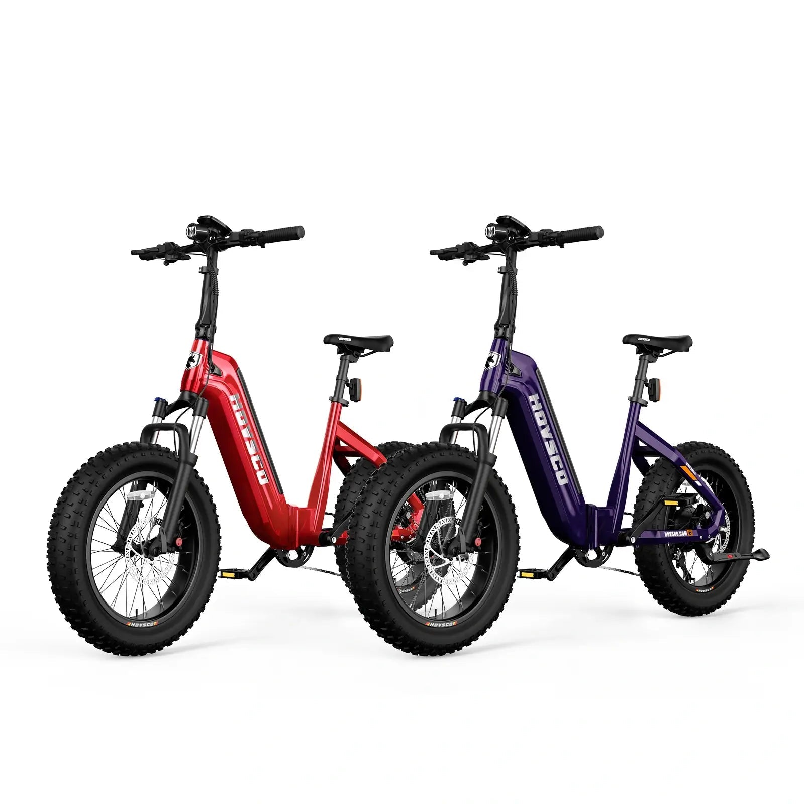 HOVSCO HovBeta 20" Foldable Fat Tire Electric Bike