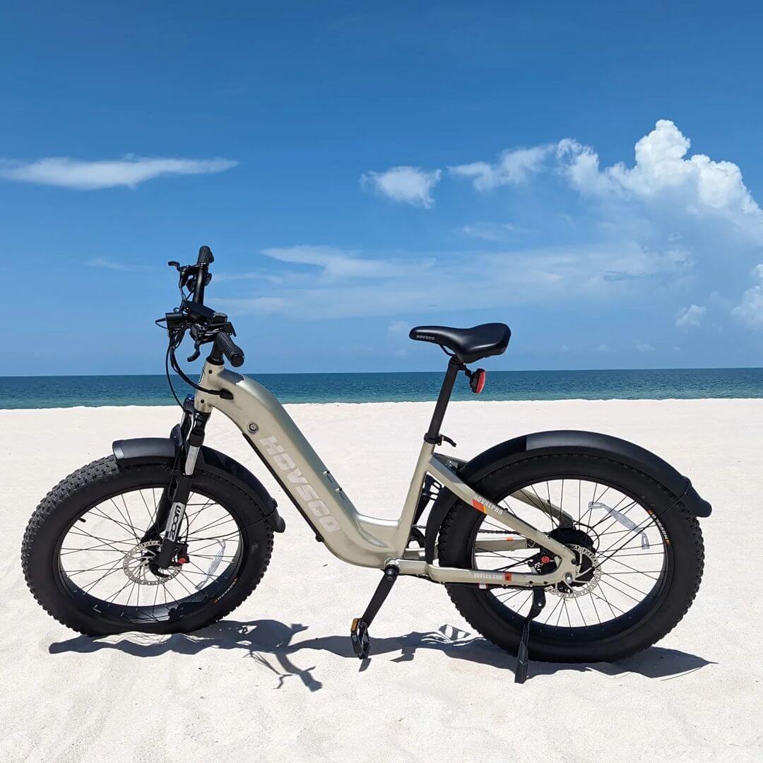 HOVSCO HovAlpha 26" Step-Thru Fat Tire Ebike