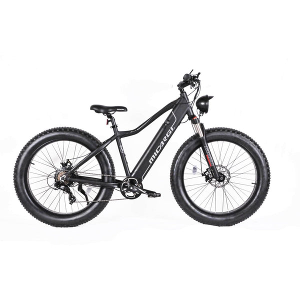 Micargi 800 Watt Steed Electric Mountain Bicycle MB-EB-STEED-MSL
