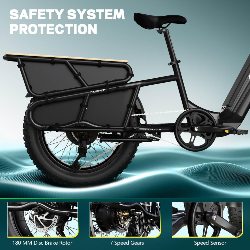 TST Carrier 20'' Cargo Electric Bike