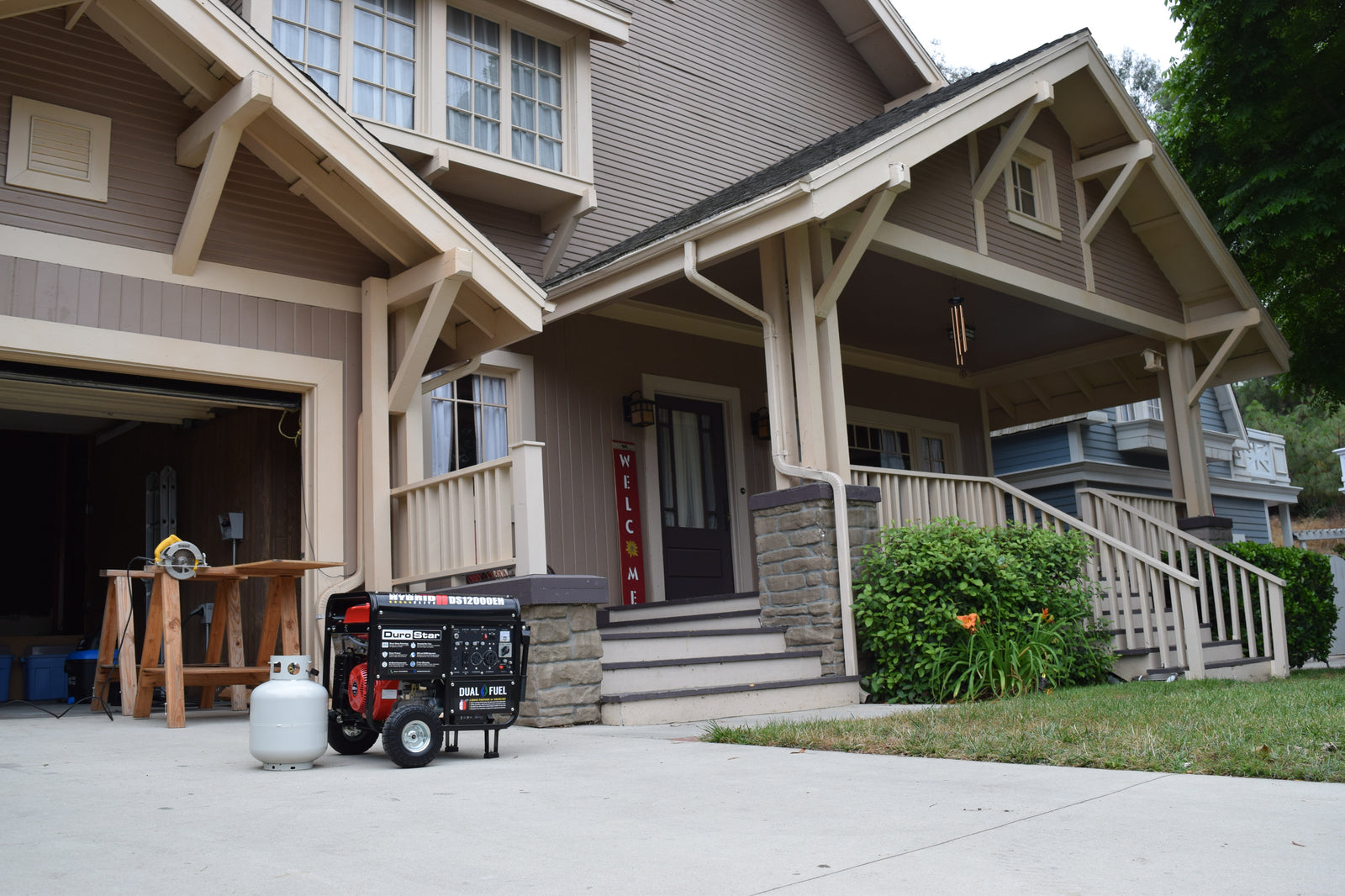 DuroMax 12,000 Watt Dual Fuel Portable Generator DS12000EH