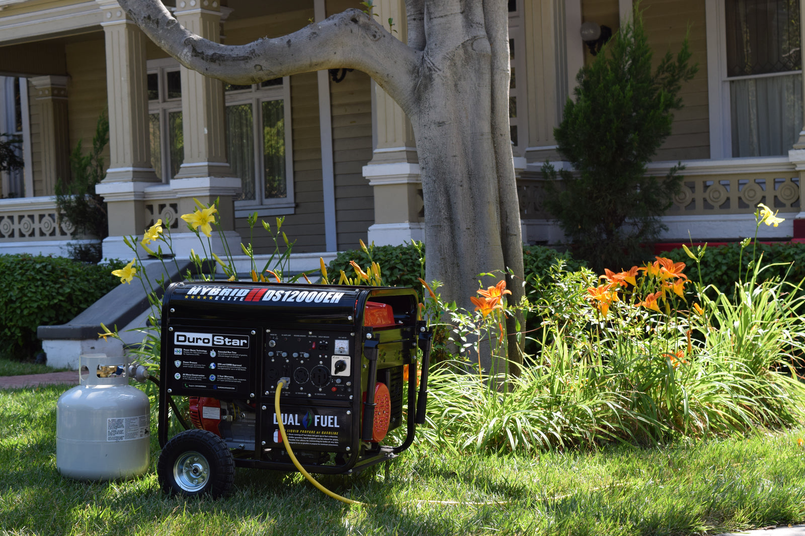 DuroMax 12,000 Watt Dual Fuel Portable Generator DS12000EH