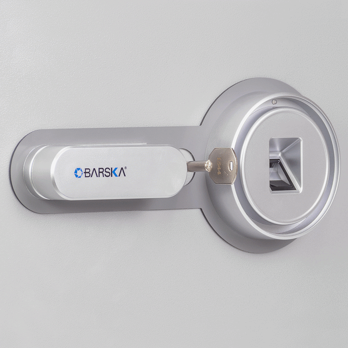 BARSKA Biometric Fireproof Safe, 1.64 Cu. Ft., Metallic Grey AX13494