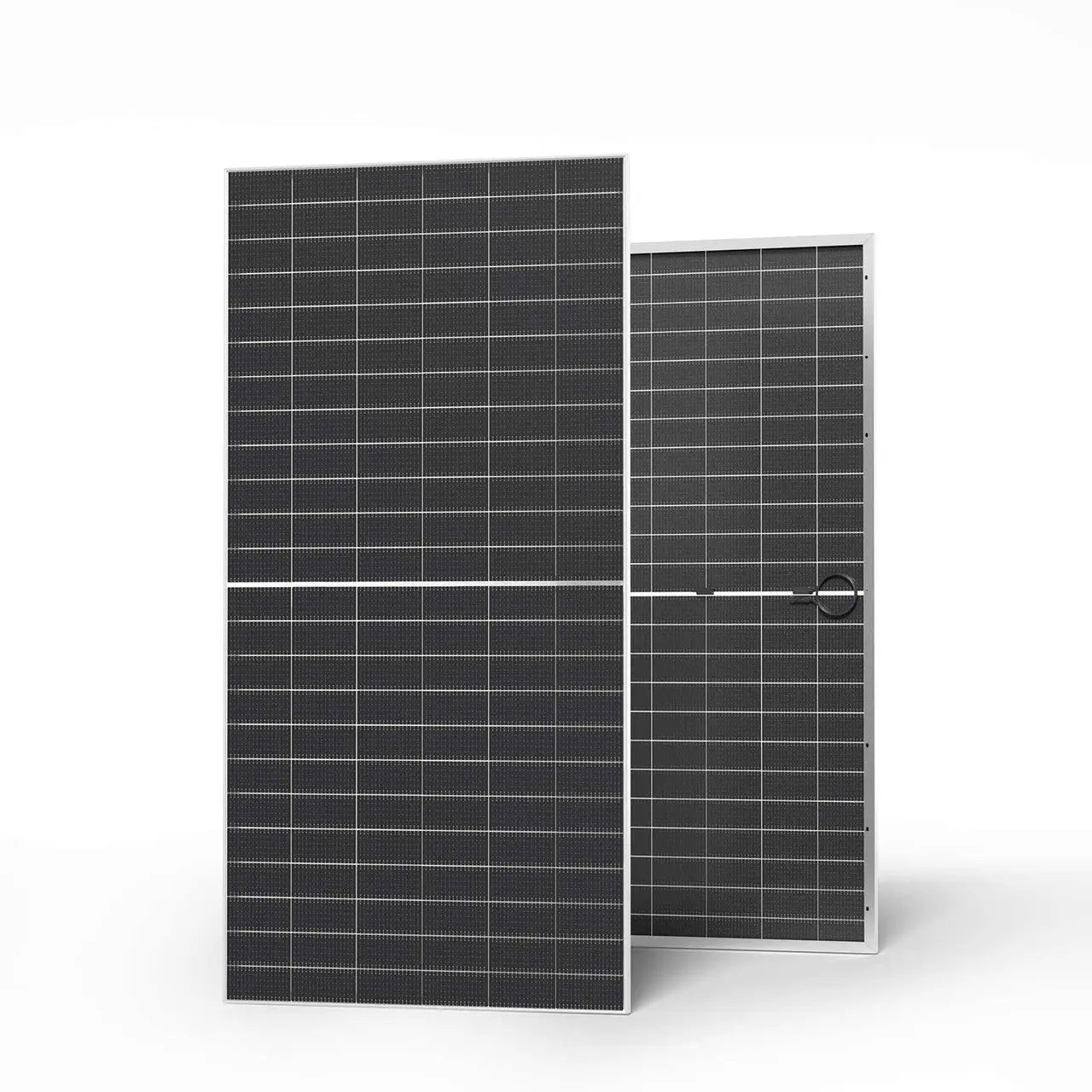 Renogy 590W N-Type Bifacial Solar Panel（2-Pack） RSP590DCT-144x2-US