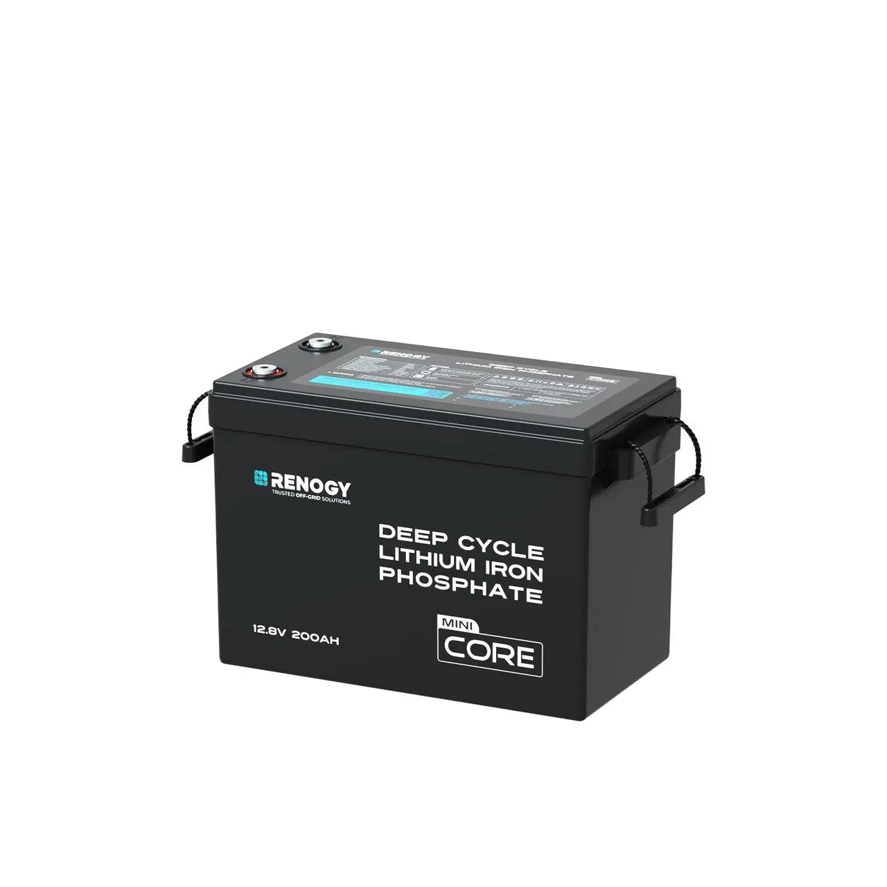 Renogy 12V 200Ah LiFePO4 Battery w/ Low-Temperature Protection  RBT12200LFP-M-US