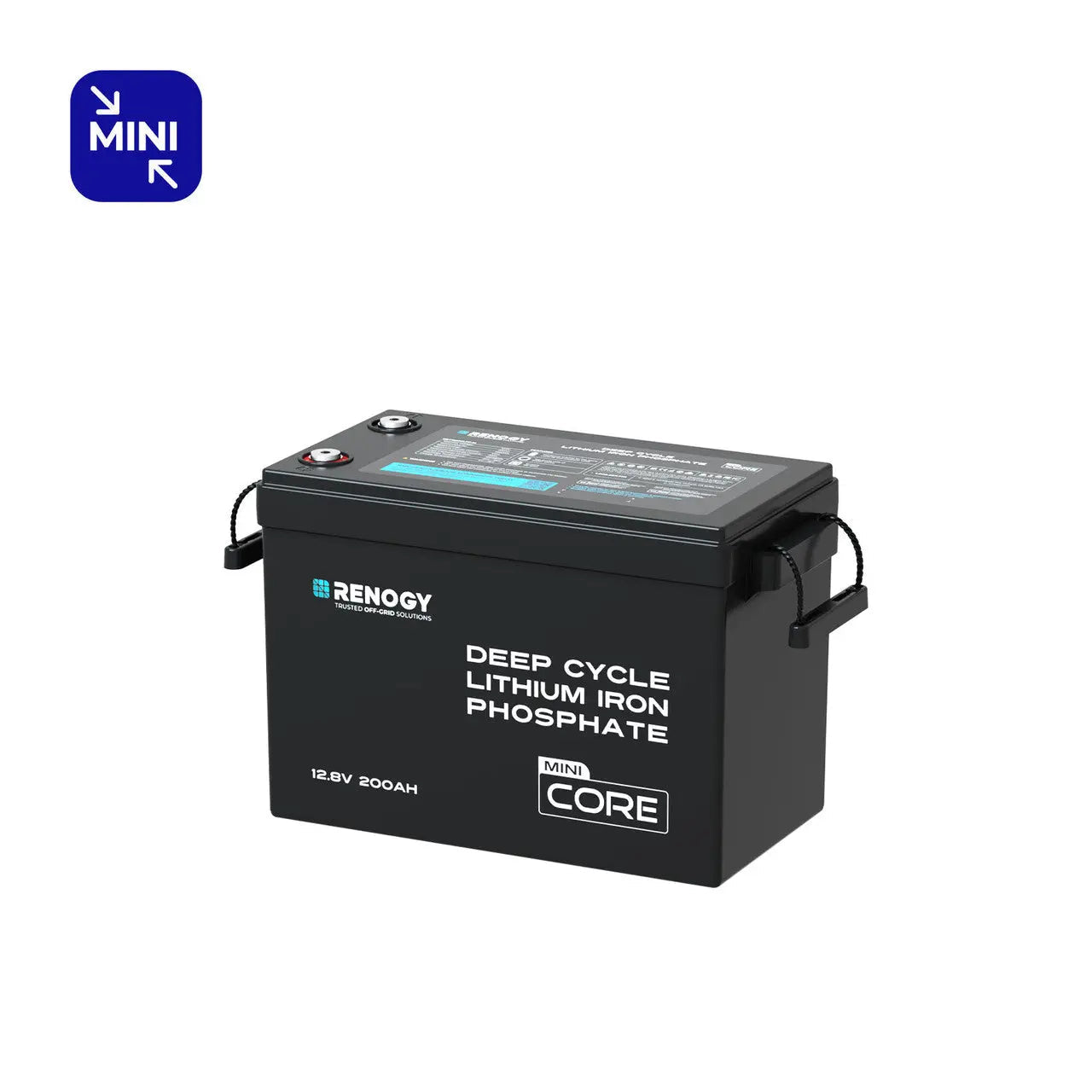 Renogy Mini Size 12V 200Ah LiFePO4 Battery w/ Low-Temperature Protection [Pre-Sale Perk: Free 20A Charger Included]  RBT12200LFP-M-US