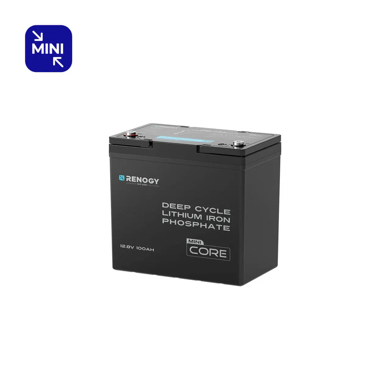 Renogy 12.8V 100Ah Lithium Iron Phosphate Battery RBT12100LFP-M-US
