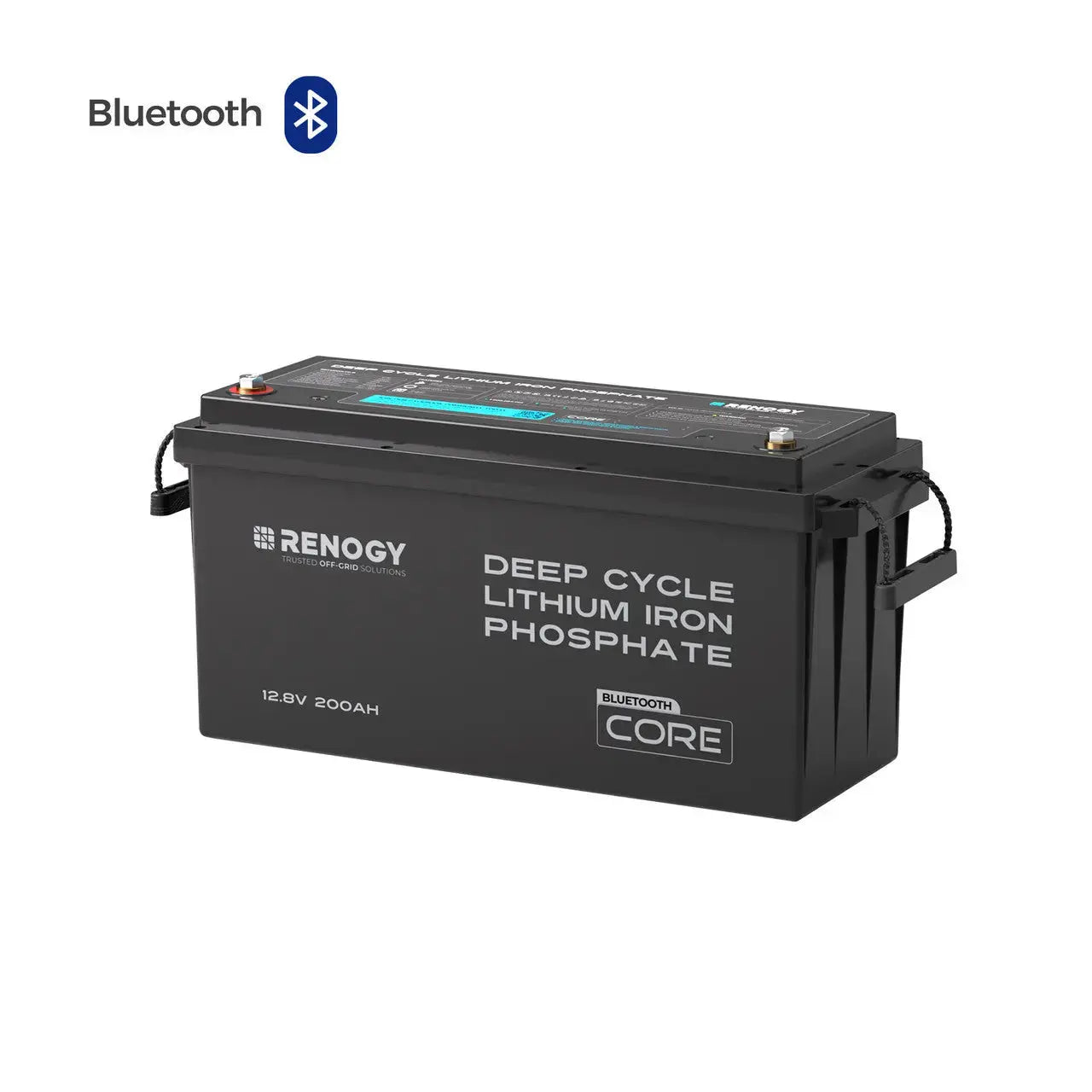 Renogy 12V 200Ah LiFePO4 Battery w/ Low-Temperature Protection  RBT12200LFP-M-US