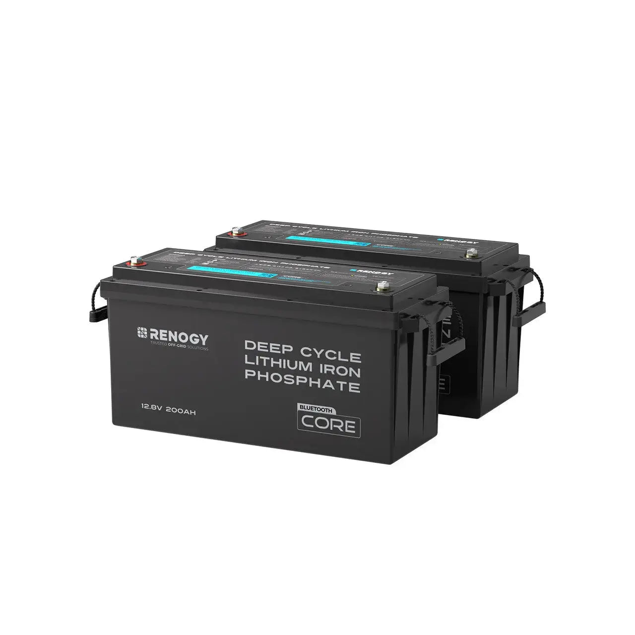 Renogy 12V 200Ah LiFePO4 Battery w/ Low-Temperature Protection  RBT12200LFP-M-US
