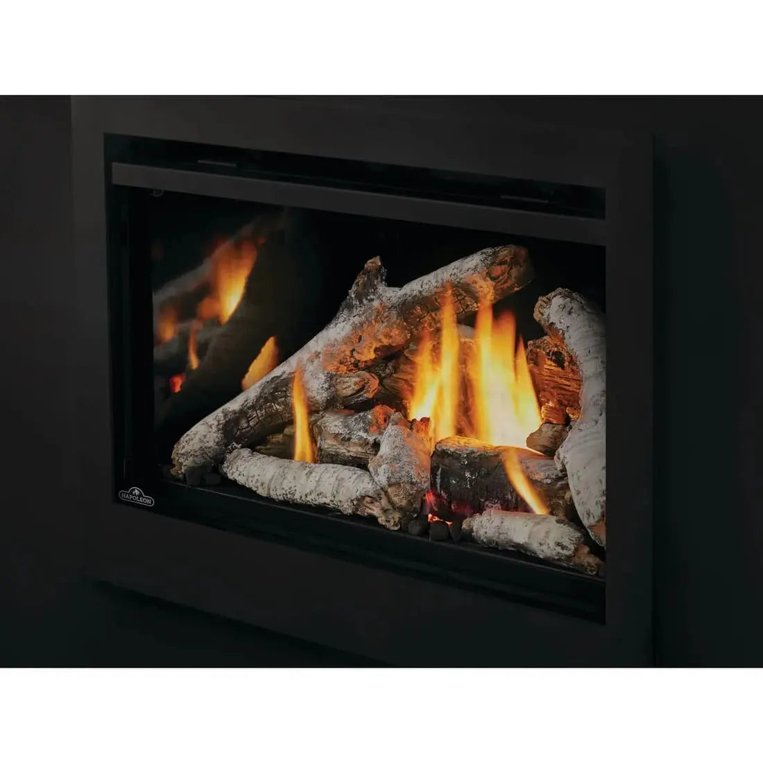 Napoleon Rosedale 3 Gas Fireplace Insert NPL-RD3N