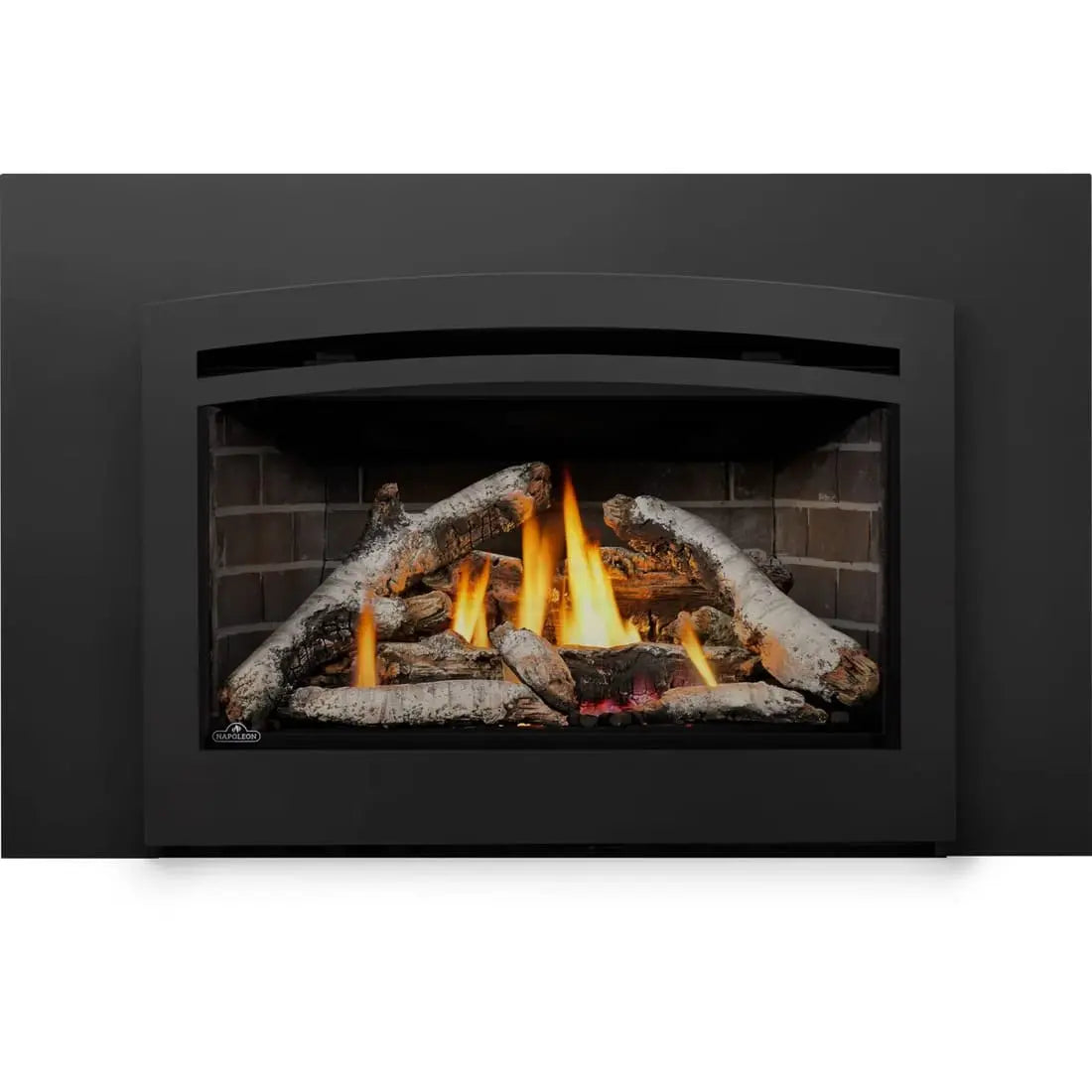 Napoleon Rosedale 3 Gas Fireplace Insert NPL-RD3N