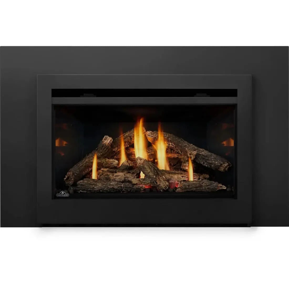 Napoleon Rosedale 3 Gas Fireplace Insert NPL-RD3N