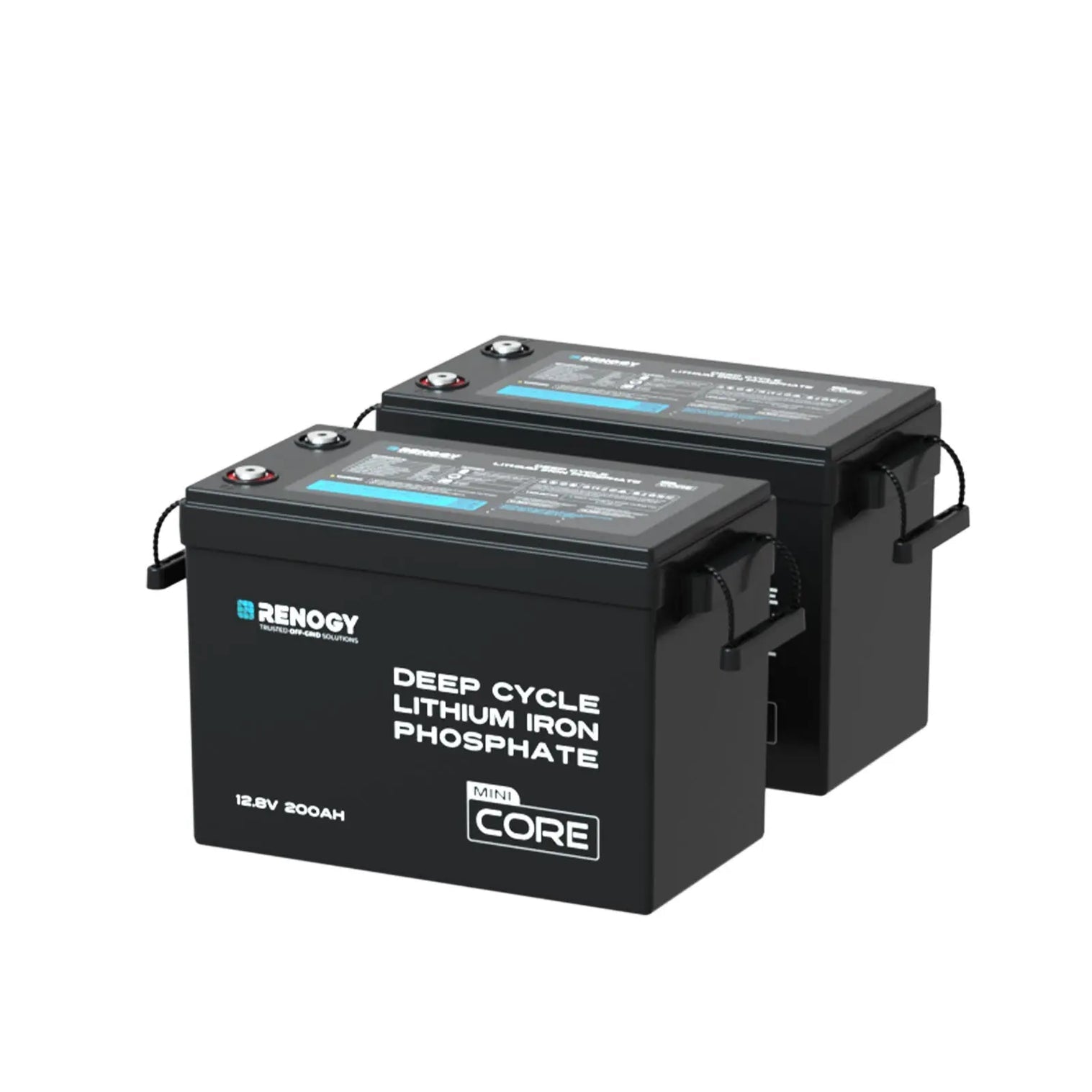 Renogy 12V 200Ah LiFePO4 Battery w/ Low-Temperature Protection  RBT12200LFP-M-US