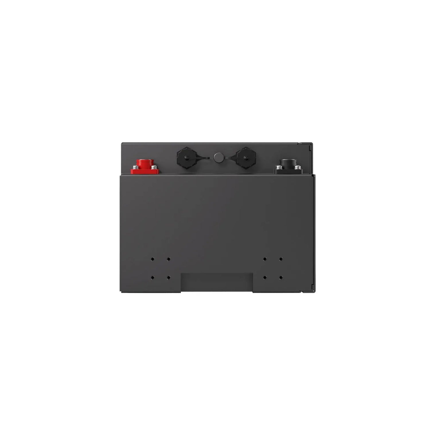 Renogy Pro S1 12V 120Ah / 240Ah LiFePO4 Battery RBT12120LFP-SBH-US