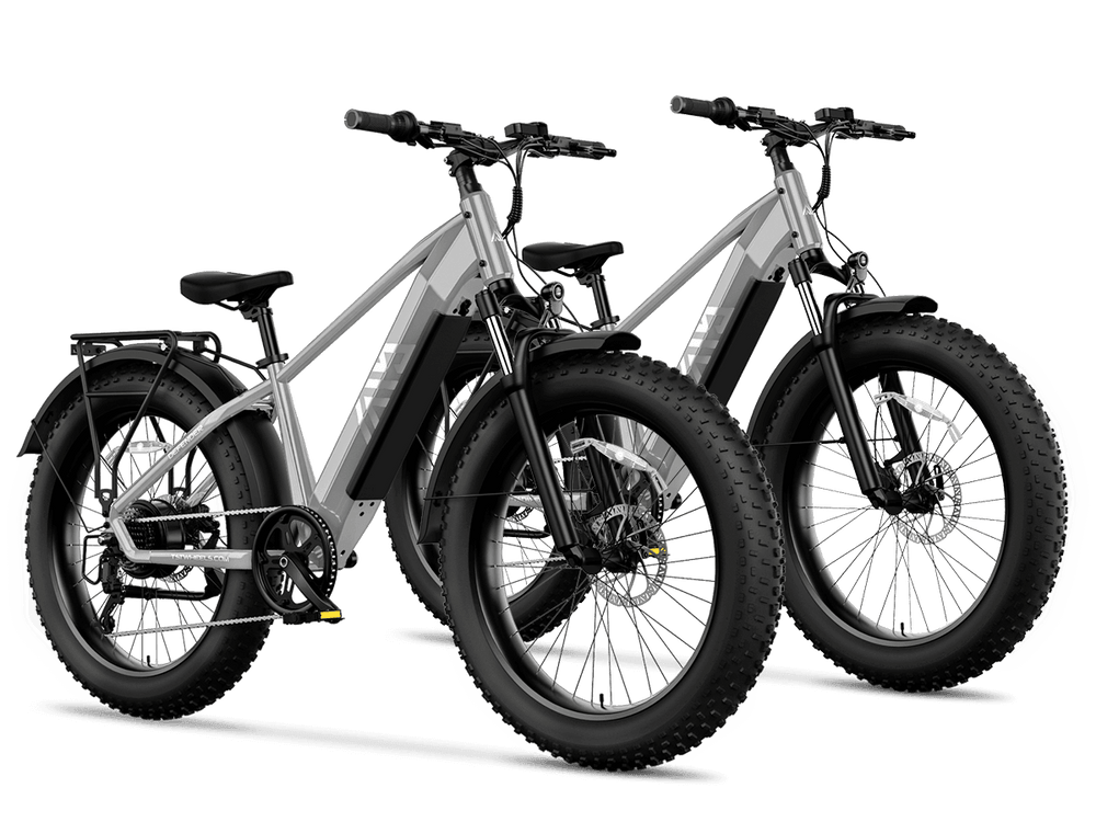 TST Combo Sale Defender 26" Fat Tire Ebike For Adult