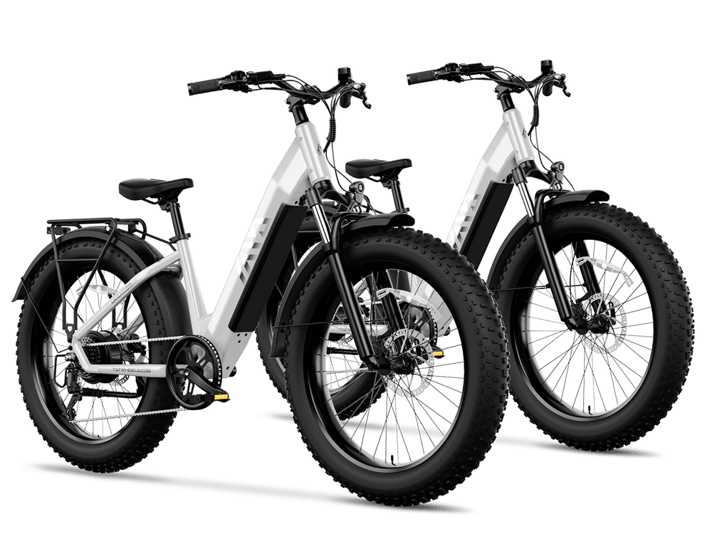 TST Combo Sale Dreamer 26" Step-Thru Fat Tire Electric Bike
