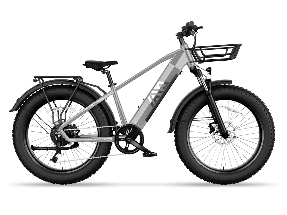 TST Combo Sale Defender 26" Fat Tire Ebike For Adult