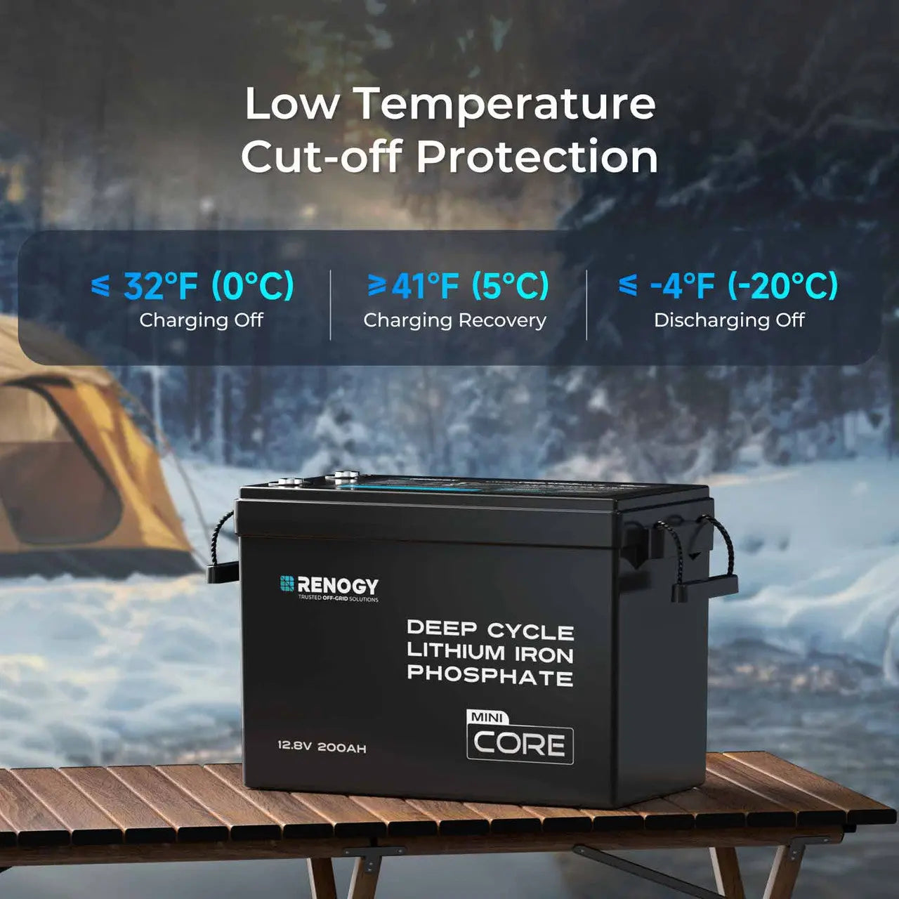 Renogy Mini Size 12V 200Ah LiFePO4 Battery w/ Low-Temperature Protection [Pre-Sale Perk: Free 20A Charger Included]  RBT12200LFP-M-US