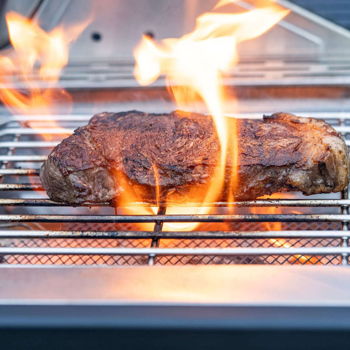 Monument Grills 35633  Stainless Infrared Gas Grill