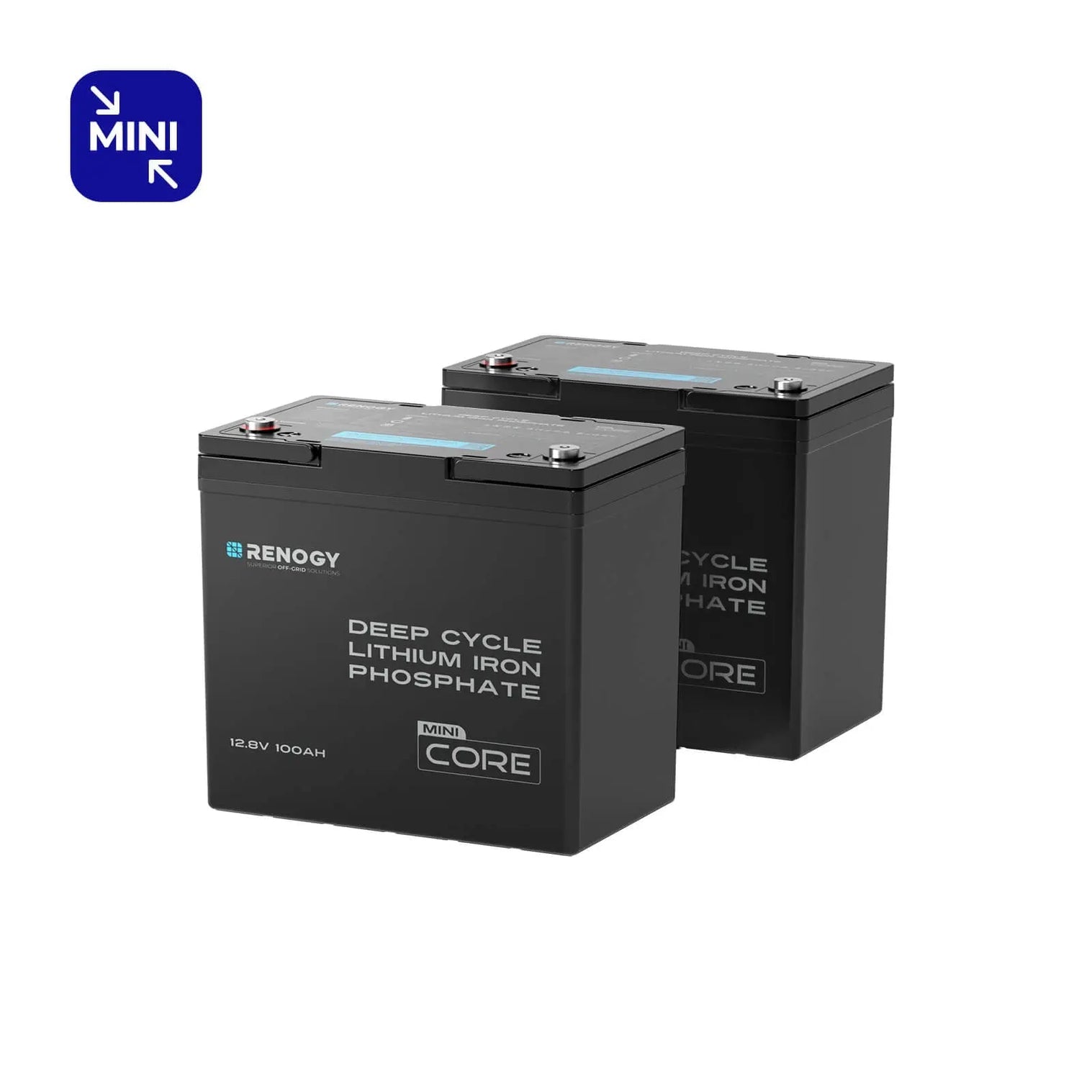 Renogy Mini Size 12.8V 100Ah Lithium Iron Phosphate Battery RBT12100LFP-M-US