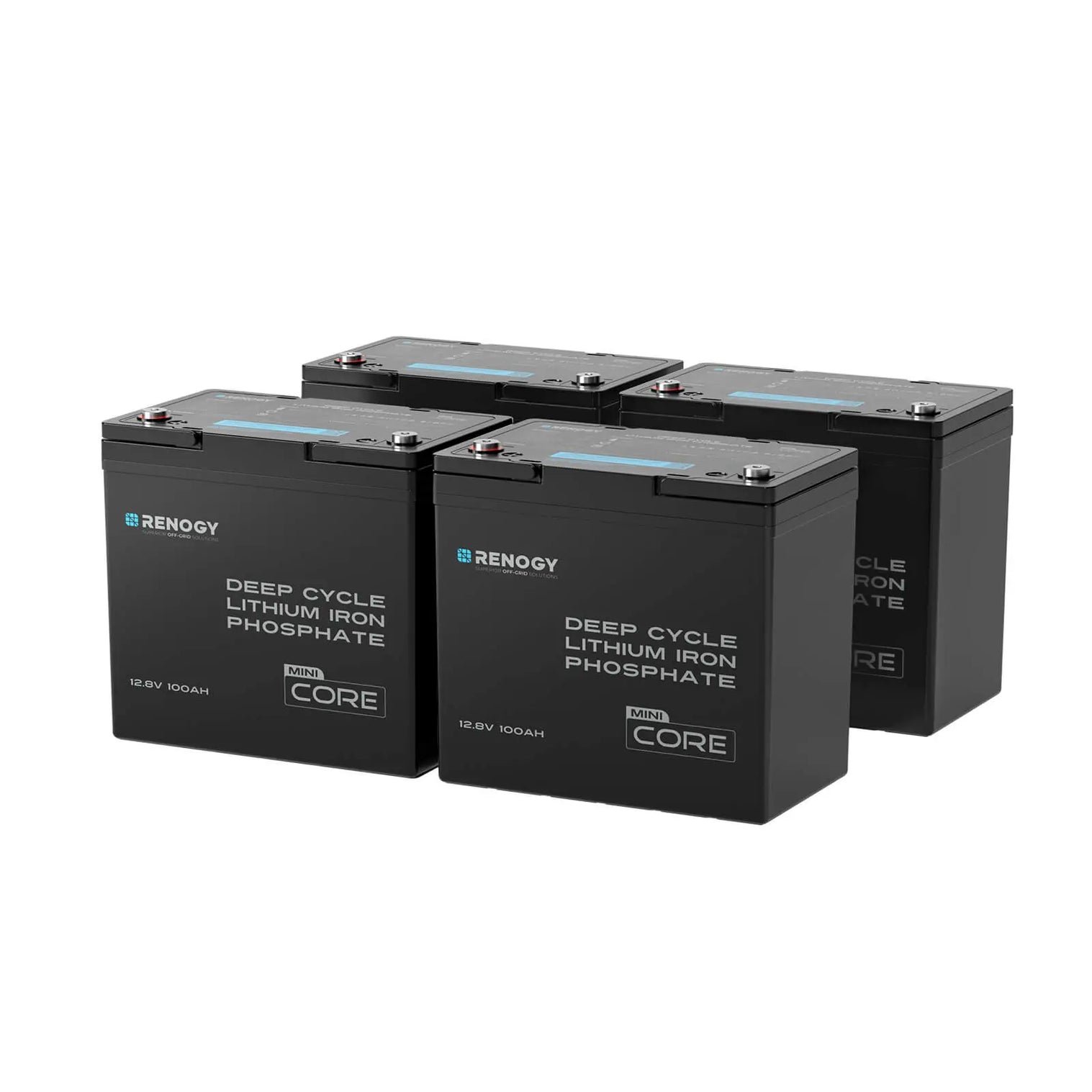 Renogy 12.8V 100Ah Lithium Iron Phosphate Battery RBT12100LFP-M-US