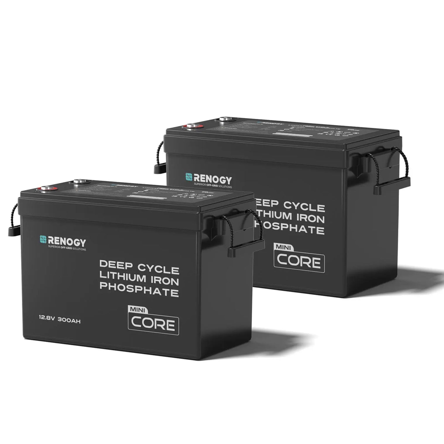 Renogy Mini Size 12V 300Ah LiFePO4 Battery w/ Low-Temperature Protection RBT12300LFP-M-US