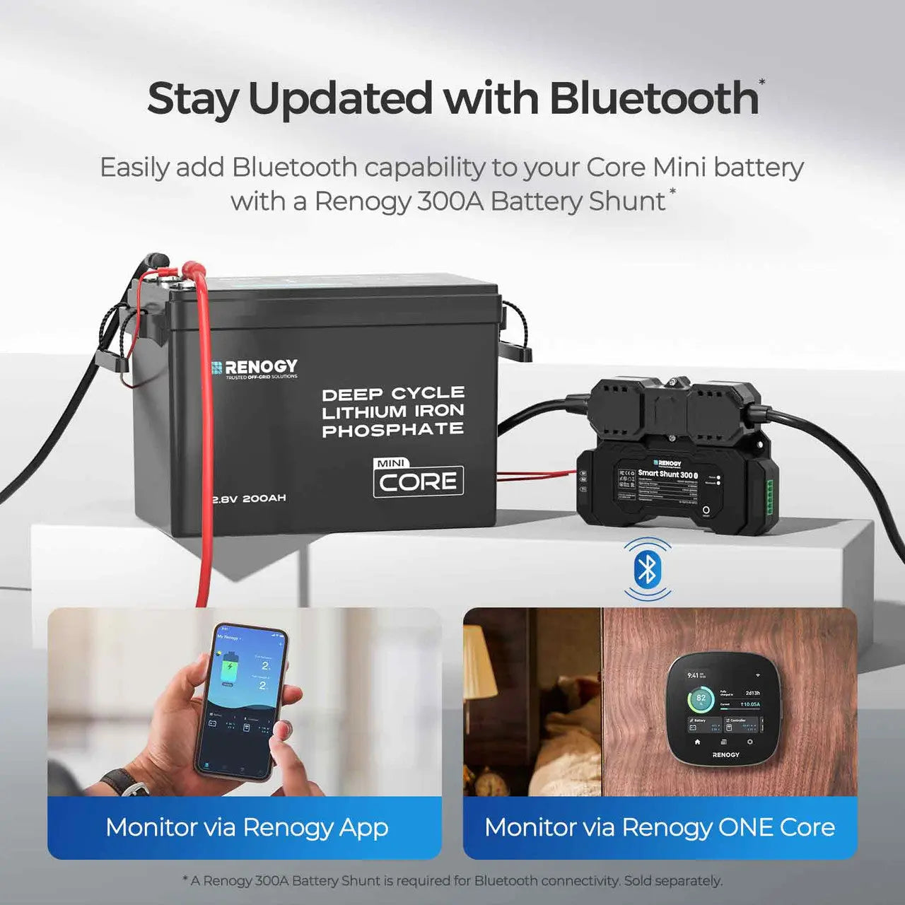 Renogy Mini Size 12V 200Ah LiFePO4 Battery w/ Low-Temperature Protection [Pre-Sale Perk: Free 20A Charger Included]  RBT12200LFP-M-US