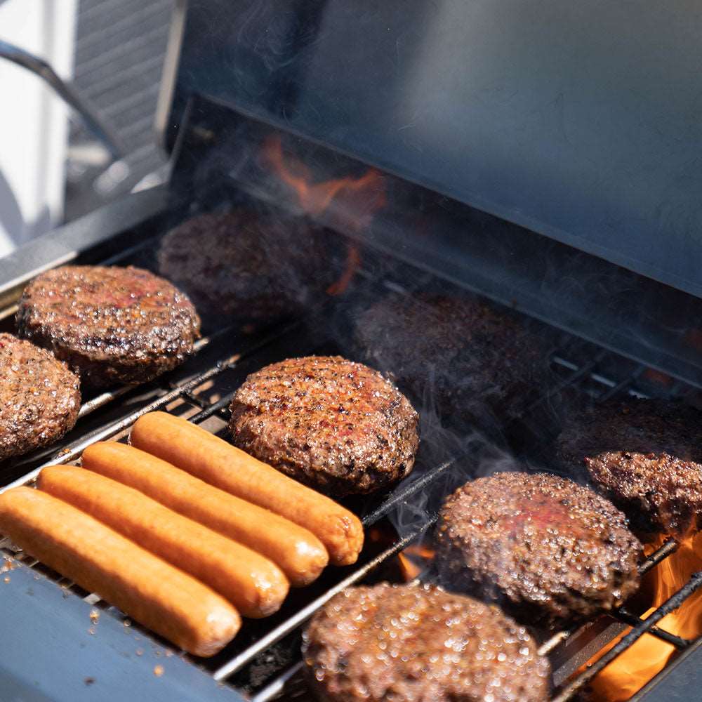 Monument Grills G22 Stainless Tabletop Gas Grill 2 Burners Liquid Propane Gas