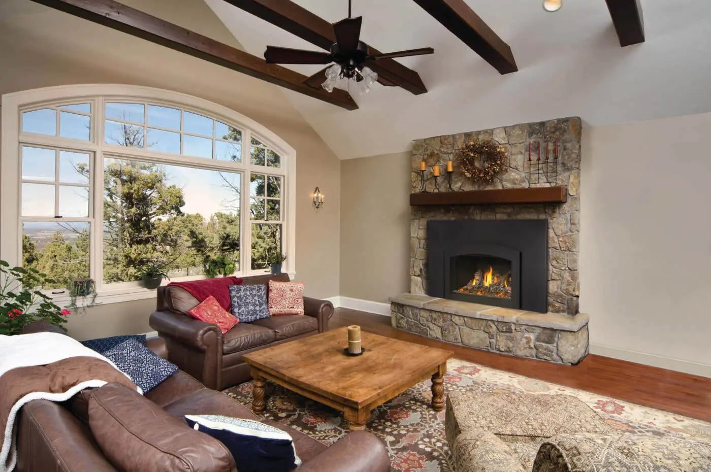 Napoleon Oakville X3 Direct Vent Natural Gas Fireplace Insert - Electronic Ignition NPL-GDIX3N-1