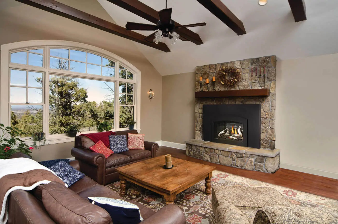 Napoleon Oakville X3 Direct Vent Natural Gas Fireplace Insert - Electronic Ignition NPL-GDIX3N-1